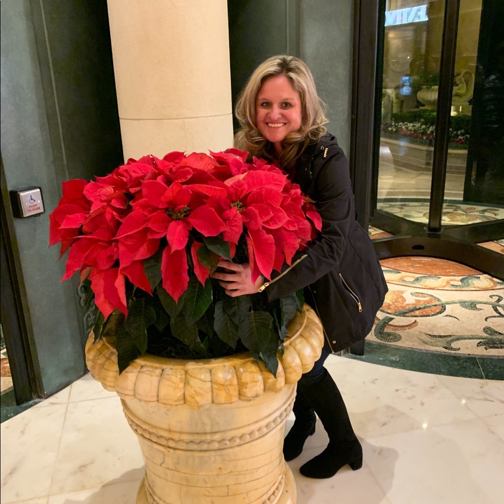 Meet your Posher, Elizabeth